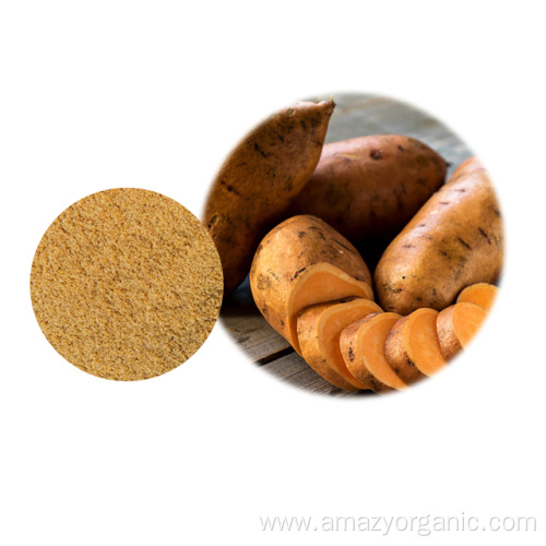 Top quality Organic Chinese sweet potato powder